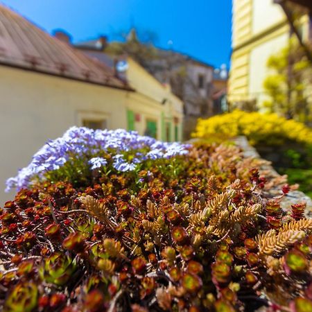 Penzion U Hradku Kutná Hora Eksteriør bilde
